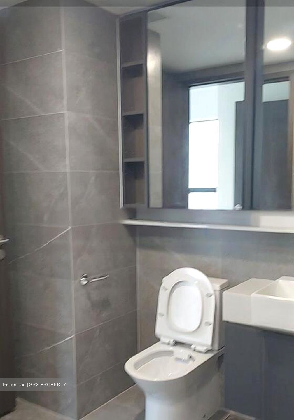 Riverfront Residences (D19), Apartment #473591971